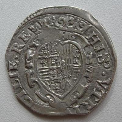 31486010.jpg