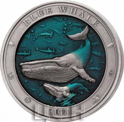 Барбадос 5 долларов 2020 год «BLUE WHALE».jpg