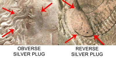 flowing-hair-silver-dollar-silver-plug-closeup.jpg