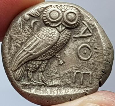 6.thumb.jpg.c16008d683e087cc33ed25dc747b0f78.jpg