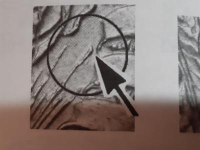 481086.jpg