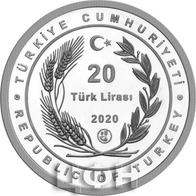 Турция 20 лир 2020 год (аверс).jpg