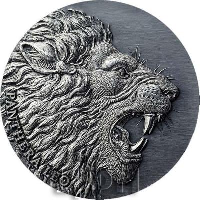 Камерун 2000 франков кфа 2020 года «PANTHERA LEO» (реверс).jpg