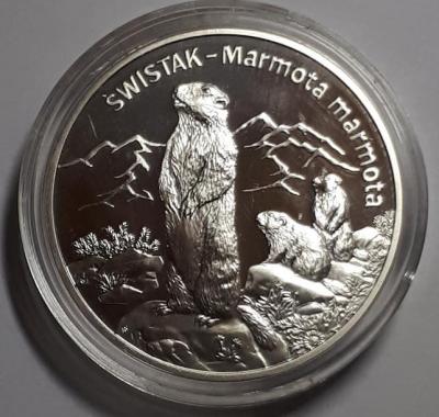 20 злотых 2006 год Польша .jpg