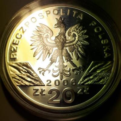 20 злотых 2006 год Полша пруф..jpg