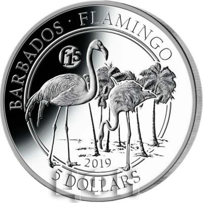 «Barbados 2019 Flamingo» (реверс).jpg