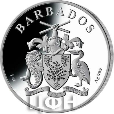 «Barbados 2019» (аверс).jpg