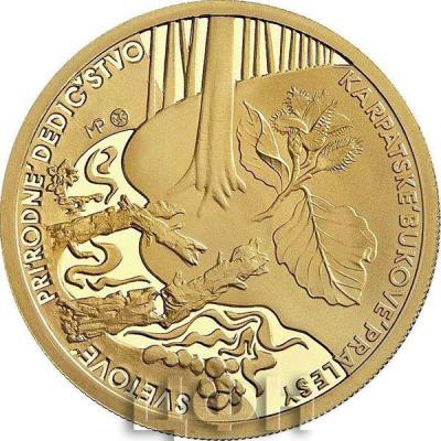 «SK 100 eur 2015 Karpatské bukové pralesyt» (2).jpg