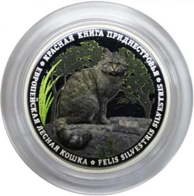 кошка пмр1.JPG