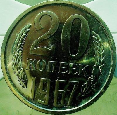 8887.jpg