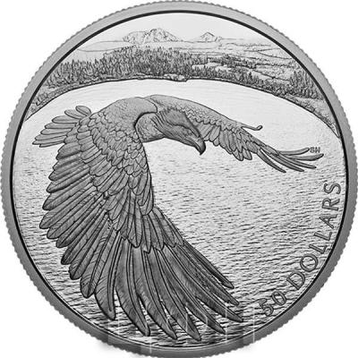 «5 oz. Pure Silver Coin – Courageous Bald Eagle» (2).jpg