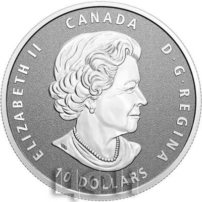 «10$ Canada» (2).jpg