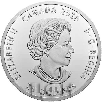 «20$ Canada» (1).jpg