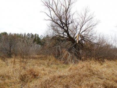 DSCN4501.JPG