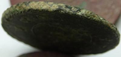 dsc05873.thumb.jpg.63b82e4526879b04cfc7b3a95ce57bc0.jpg