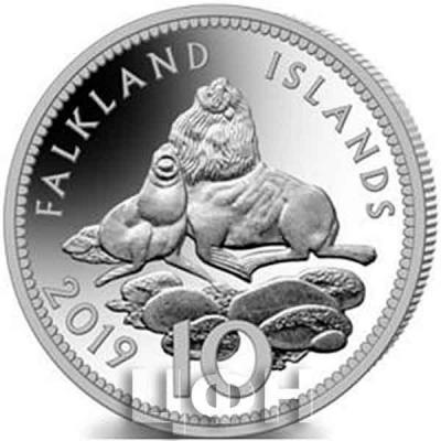 «FALKLAND ISLANDS 10» (1).jpg