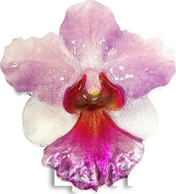 «ORCHID Shape World Enchanting Flower 1 Oz Silver Coin 2$ Niue 2020» (2).jpg