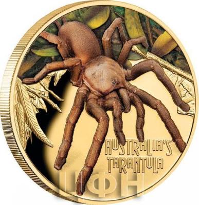 «TARANTULA Australia Deadly Dangerous 1 Oz Gold Coin 100$ Niue 2020» (2).jpg