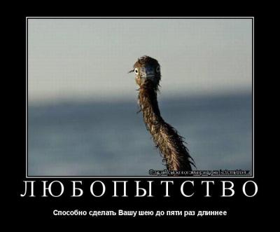 любопытство.jpg