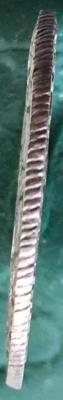 img-20200406-wa0001.thumb.jpg.4077cdcc68c87b0462daa41e5c0af67b.jpg