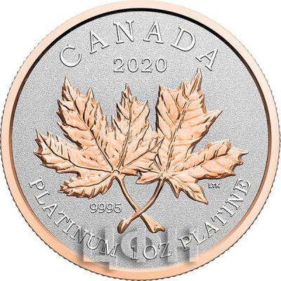 «1 oz. 99.95% Pure Platinum Coin – Maple Leaf Forever» (2).jpg