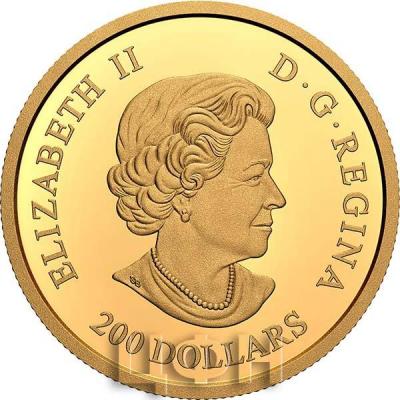 «1 oz. Pure Gold - The Queen Elizabeth Rose» (1).jpg