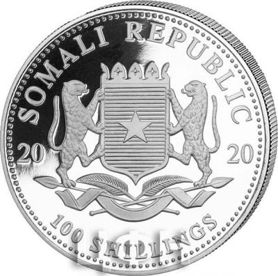«Somalia 2020» (1).jpg