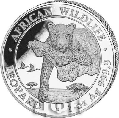 «Somalia 2020» (1).jpg