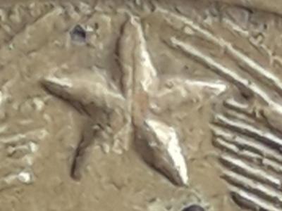 20200420_121415.jpg