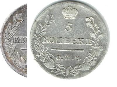 Тонкая ветка.jpg