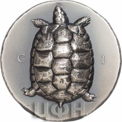 «5 Dollars Cook Islands Tortoise» (2).jpg