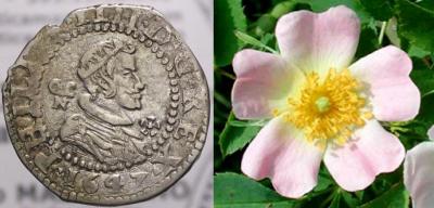 !000- 000.1 ааа. 0 м1.а2 ааа1 02.123.5.1.jpg