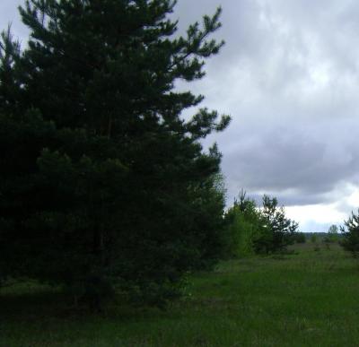 dsc08125.thumb.jpg.a21e3f0ce6ea91088185266bc68254ff.jpg