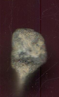 izobrazhenie_099.thumb.jpg.29c5de7cfc4fbbb528a38b3a4034c7da.jpg