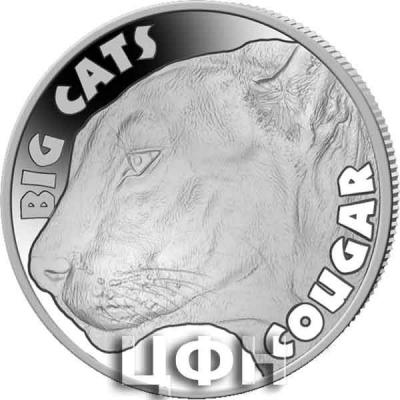 SIERRA LEONE  2020 Coin COUGAR.jpg