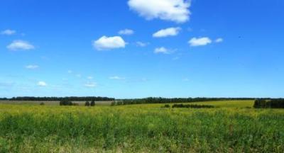 DSCN4590.JPG