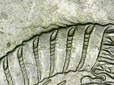 0611-02.thumb.jpg.031a4b26d7bad7ebecea6de53bed5fdf.jpg