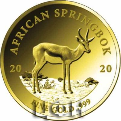 100 франков Конго 2020 «AFRICAN SPRINGBOK».jpg