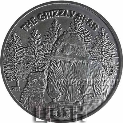 «The Grizzly Bear»,.jpg