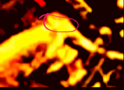 20200627_011159.png