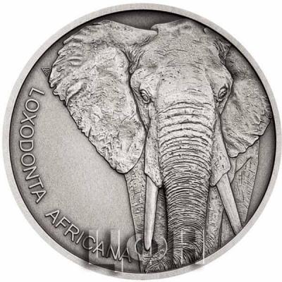 «Stříbrná mince Zvířecí rekordmani» «LOXODONTA AFRICANA» (1).jpg