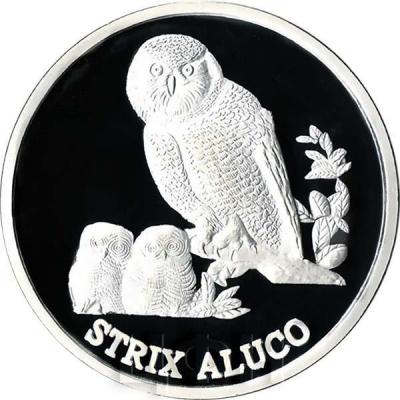 «20 WON - «STRIX ALUGO».jpg