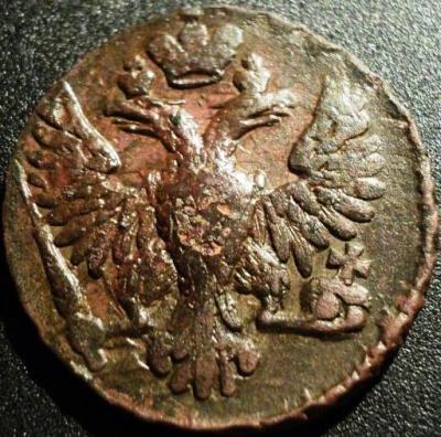 denga_1748.jpg
