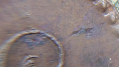 DSC09281.JPG