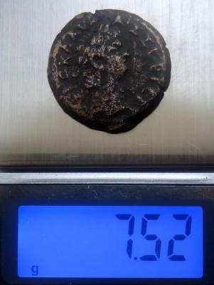 DSCN5298.JPG