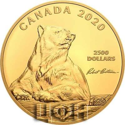 «1 Kilogram Pure Gold Coin - Robert Bateman's Summertime Polar Bear».jpg