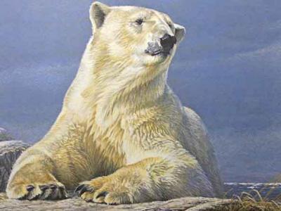 «1 Kilogram Pure Gold Coin - Robert Bateman's Summertime Polar Bear».jpg