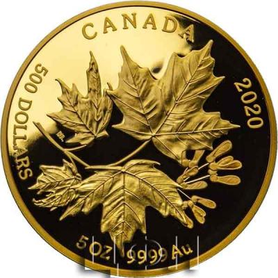 «2020 Canada $500 5 oz Proof Gold Splendid Maple Leaves» (1).jpg