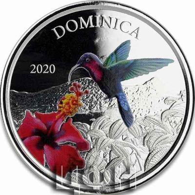 «Dominica» (3).jpg
