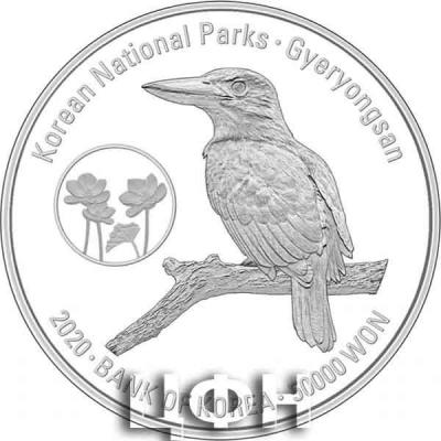 «Gyeryongsan National Park» (2).jpg